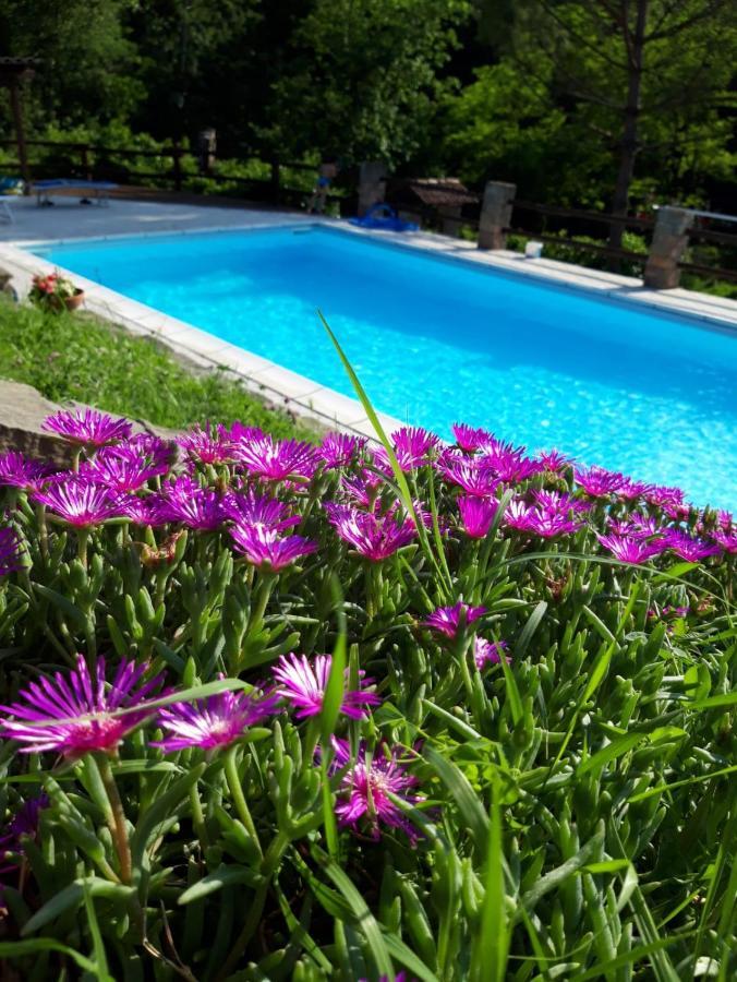La Lacia Acqui Terme Extérieur photo
